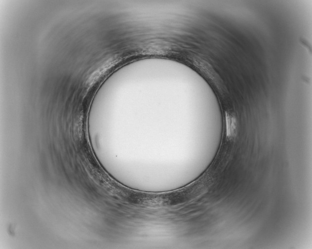 X0000101430675200807281001