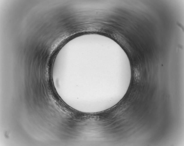 X0000101430676200807281001