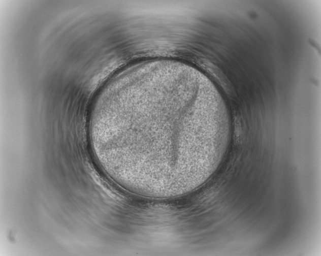 X0000101430677200807281001