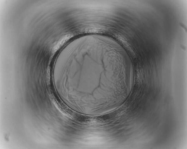 X0000101430678200807281001