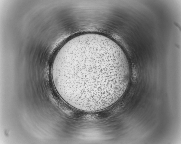 X0000101430680200807281001