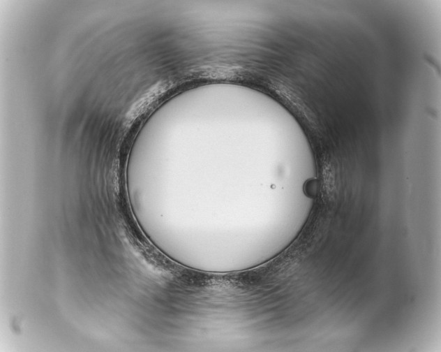 X0000101430682200807281001