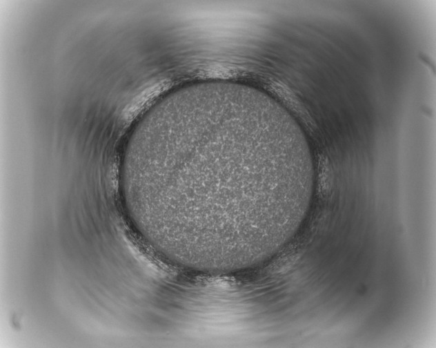 X0000101430683200807281001