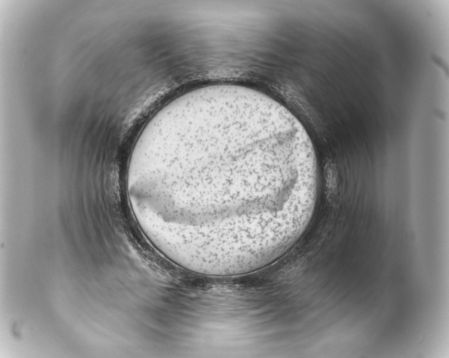 X0000101430684200807281001