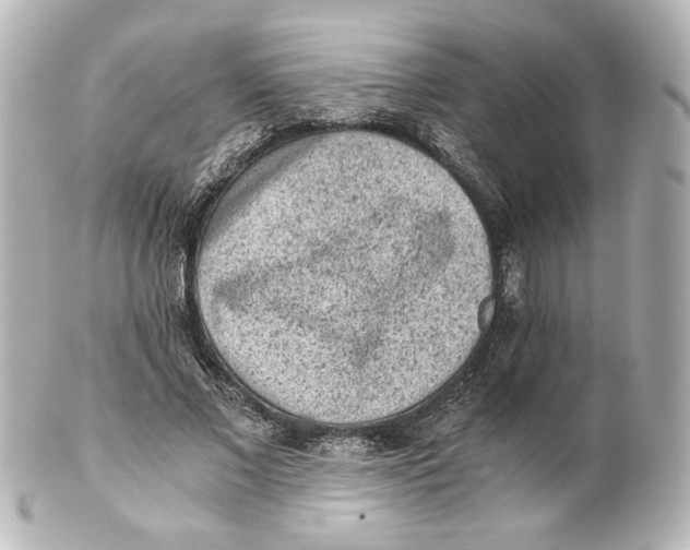 X0000101430685200807281001