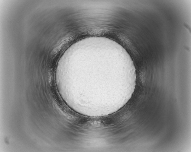 X0000101430687200807281001