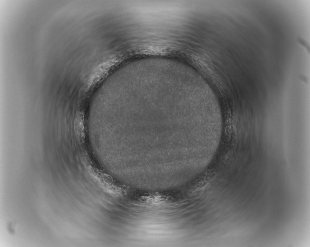 X0000101430688200807281001