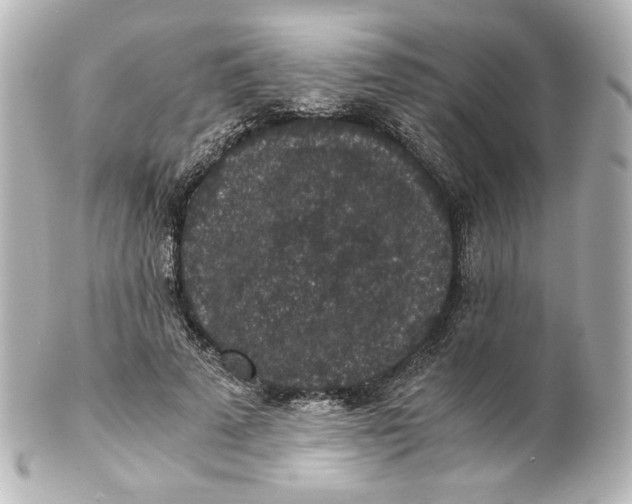 X0000101430689200807281001