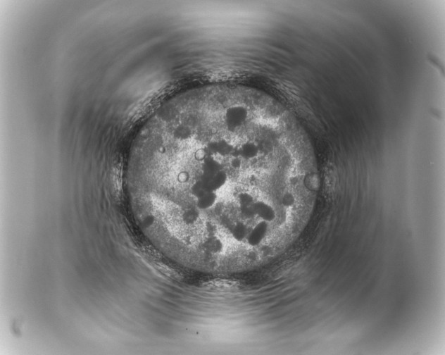 X0000101430691200807281001