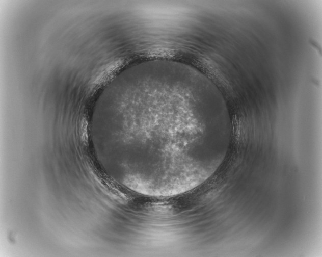 X0000101430692200807281001