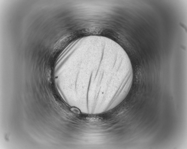 X0000101430693200807281001