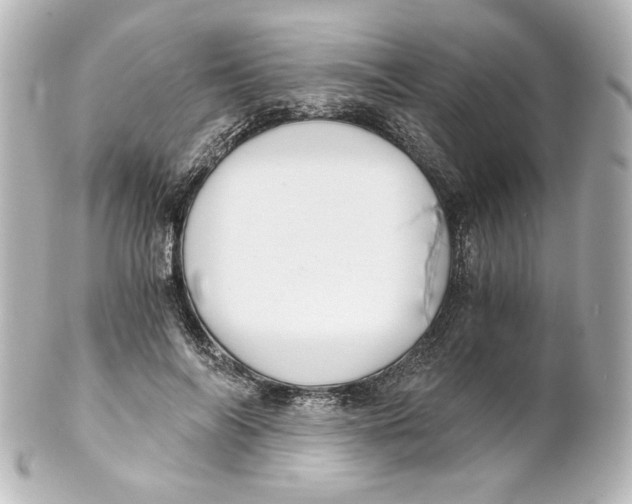 X0000101430694200807281001