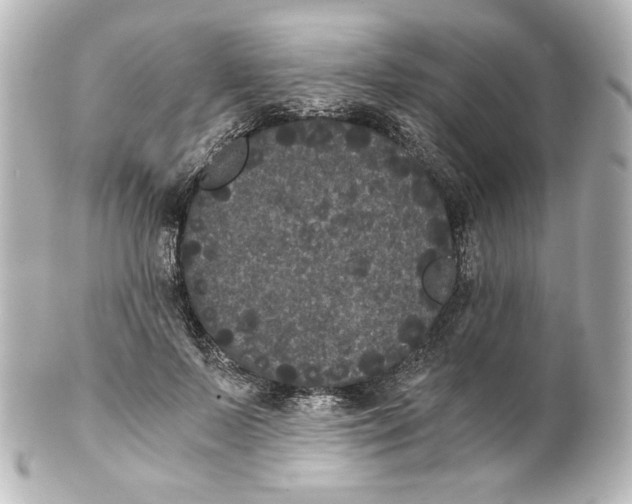 X0000101430695200807281001