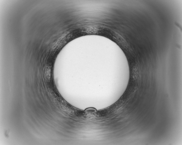 X0000101430697200807281001