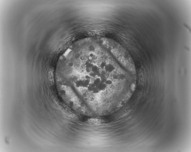 X0000101430699200807281001