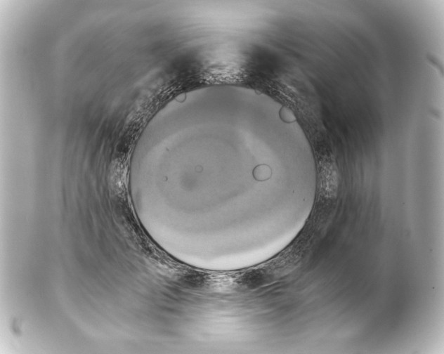 X0000101430701200807281001