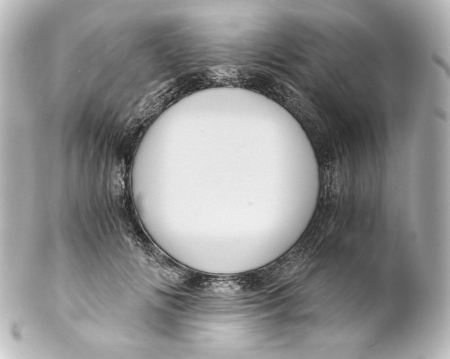 X0000101430702200807281001