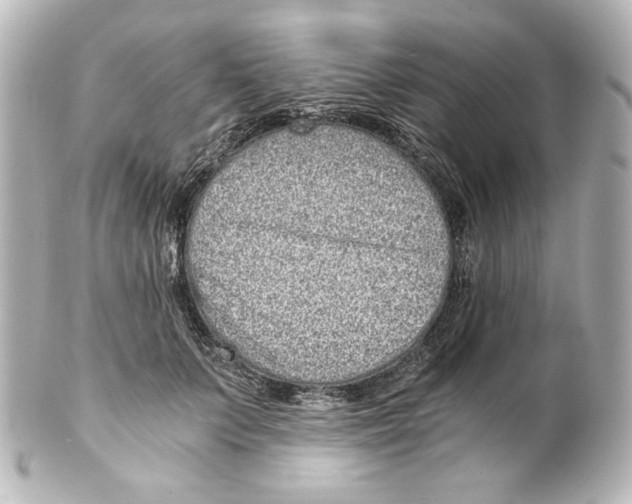 X0000101430703200807281001