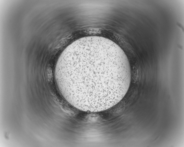 X0000101430704200807281001