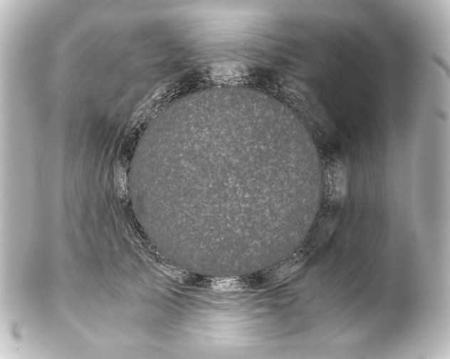 X0000101430705200807281001