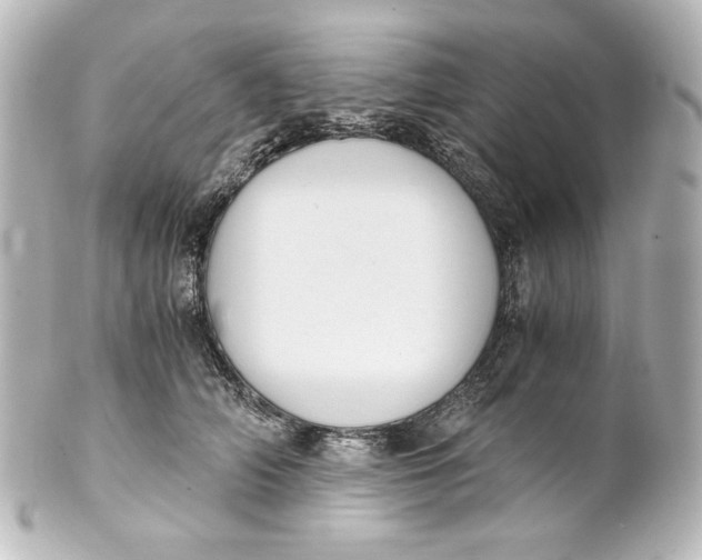 X0000101430706200807281001