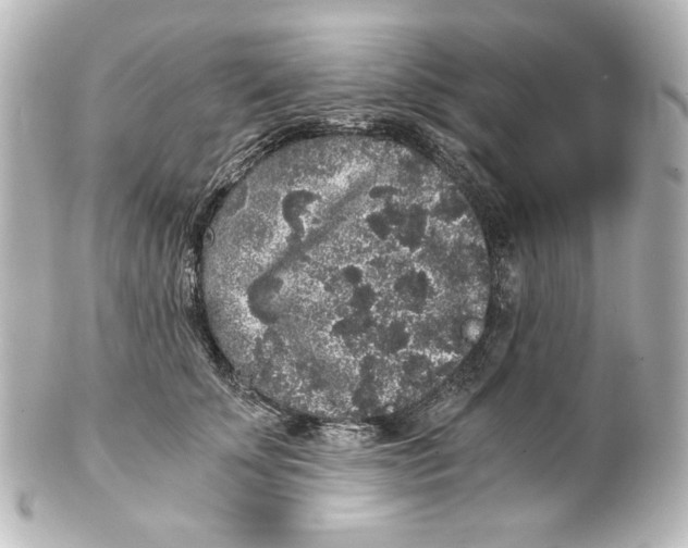 X0000101430707200807281001