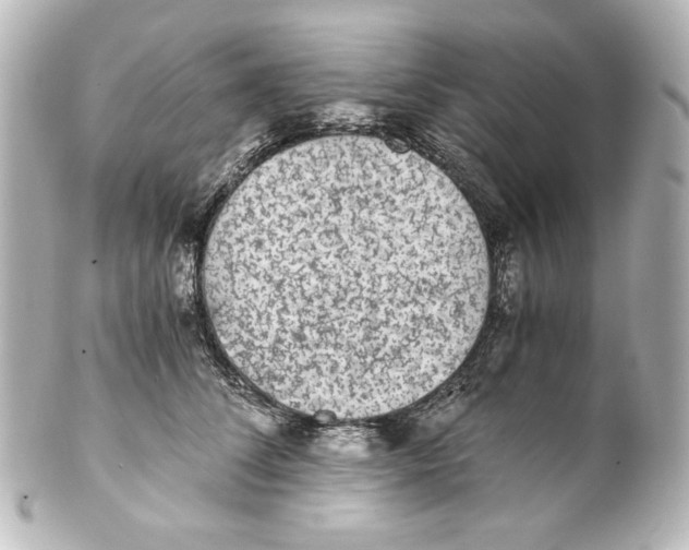 X0000101430708200807281001