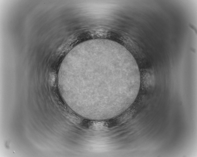 X0000101430709200807281001