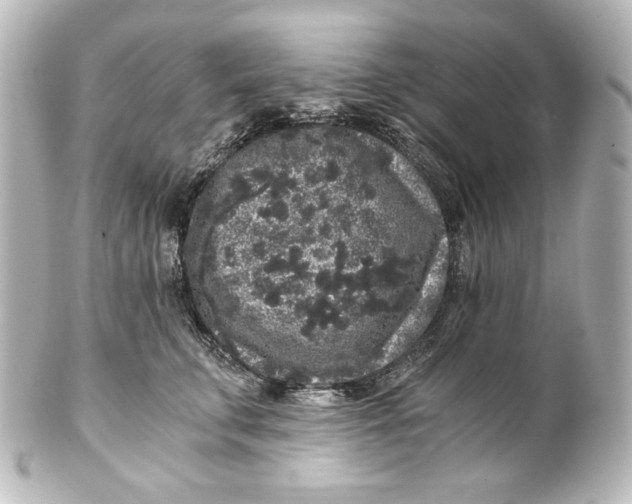 X0000101430711200807281001