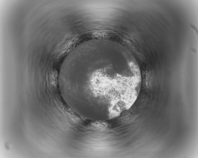 X0000101430712200807281001