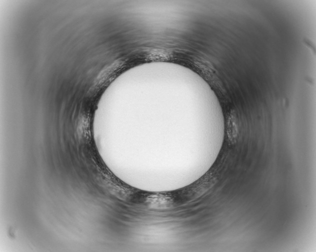 X0000101430714200807281001