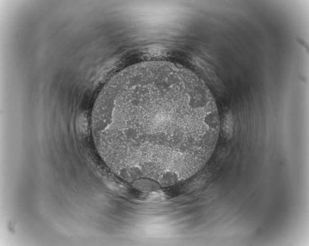 X0000101430715200807281001