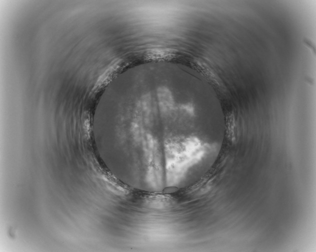 X0000101430716200807281001