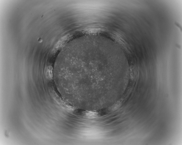 X0000101430718200807281001