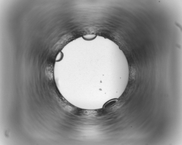 X0000101430719200807281001