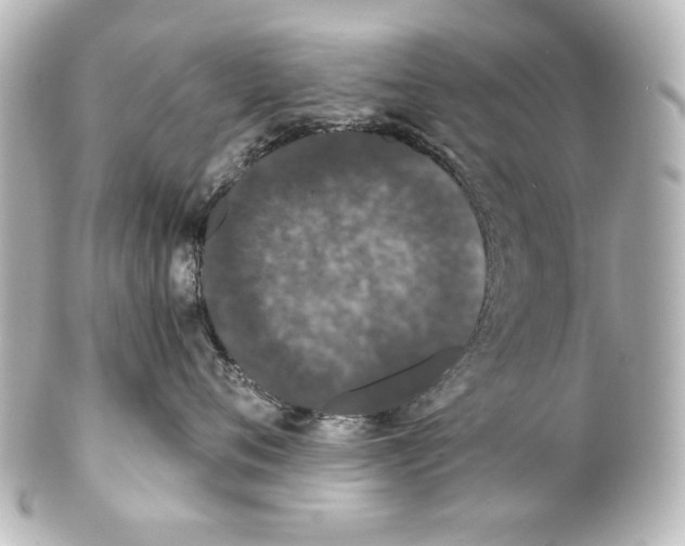 X0000101430720200807281001