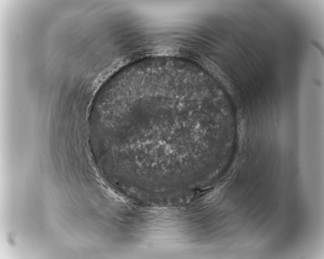 X0000101430721200807281000