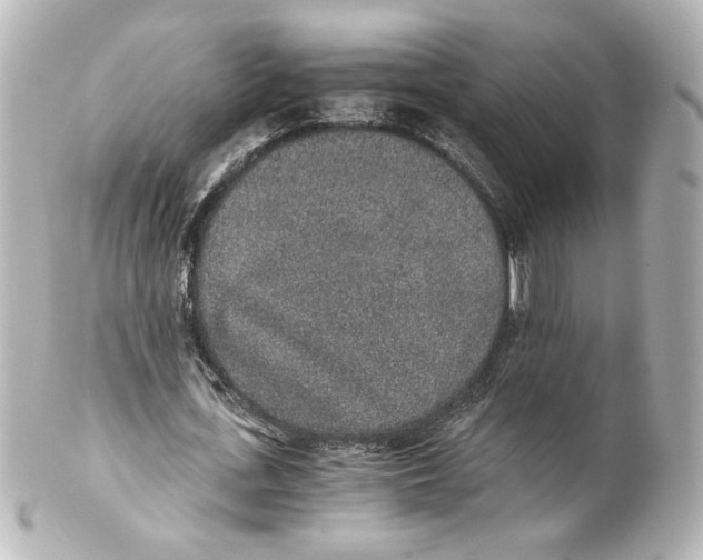 X0000101430723200807281000