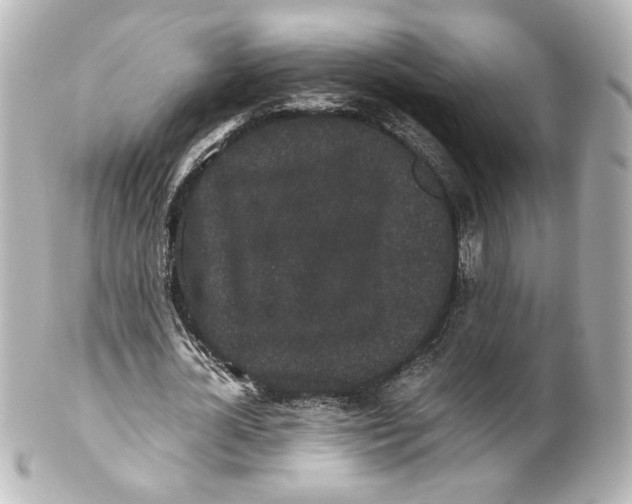 X0000101430724200807281000