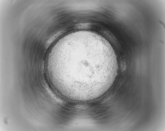 X0000101430725200807281000