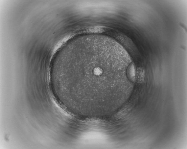 X0000101430726200807281000