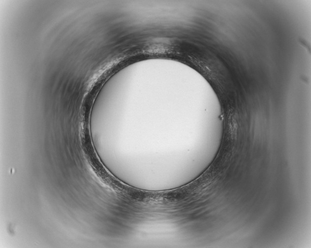 X0000101430728200807281000