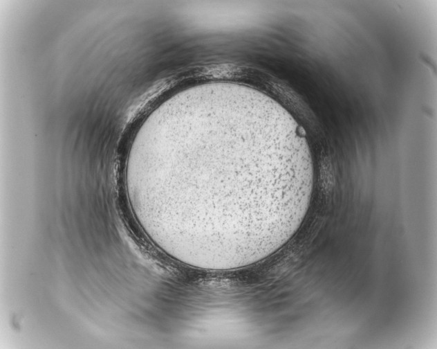 X0000101430730200807281000