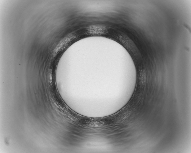 X0000101430731200807281000