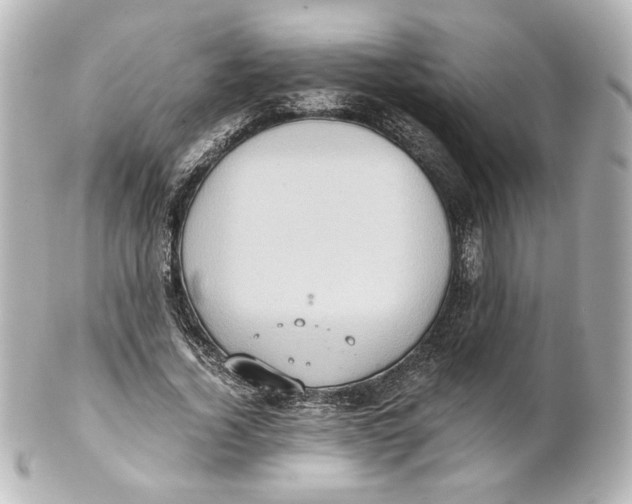 X0000101430732200807281000