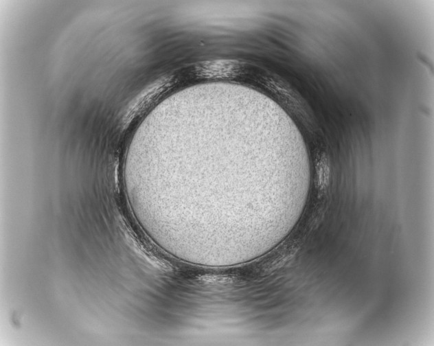 X0000101430733200807281000