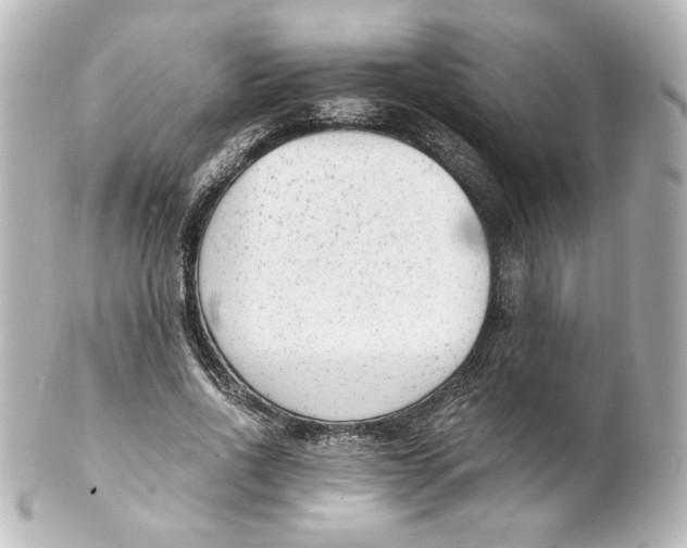 X0000101430734200807281000