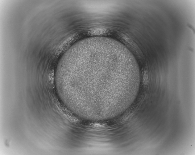 X0000101430737200807281000