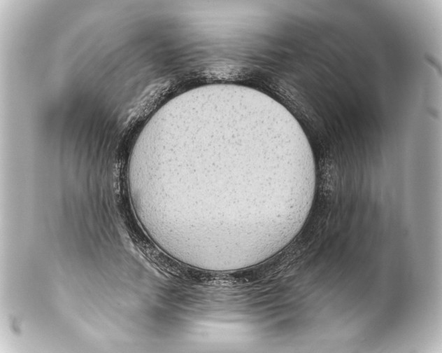 X0000101430738200807281000