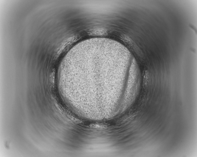 X0000101430739200807281000